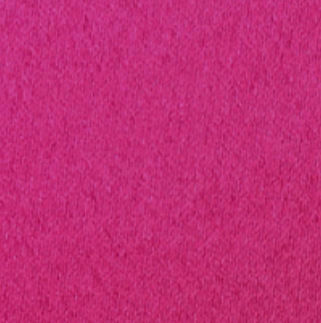 Rental store for FUSHIA MAT   MATTE FUSHIA in Montreal Quebec