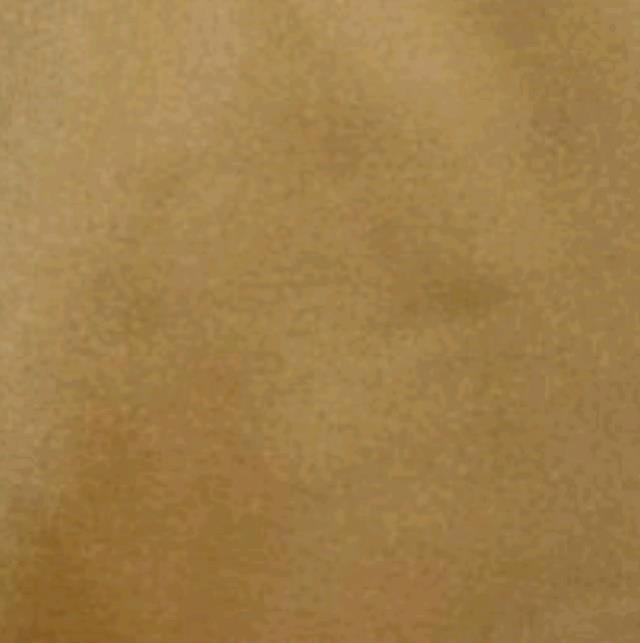 Rental store for OR ORIENTAL   ORIENTAL GOLD in Montreal Quebec